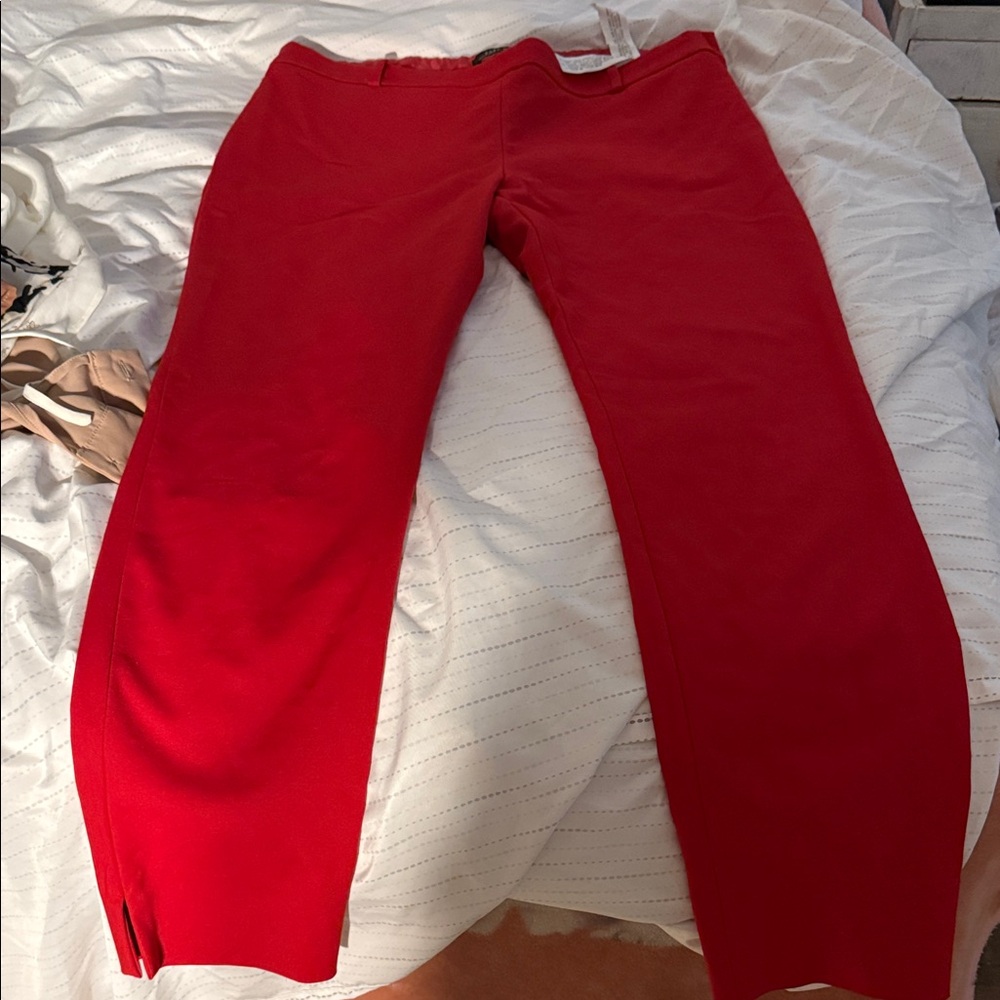 Zara Vibrant Red Pants
